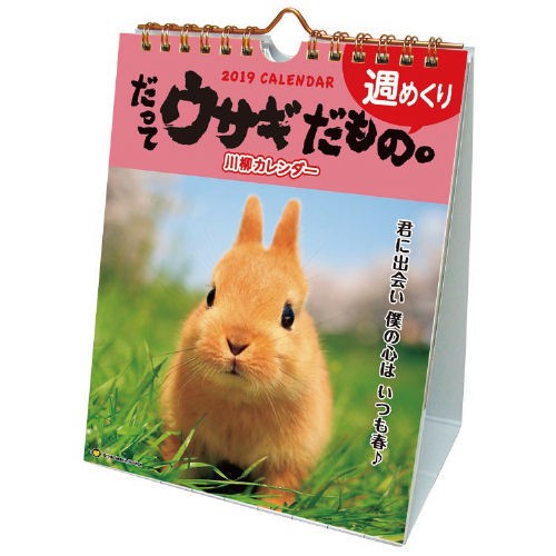 うさぎ飼育セット(全て揃っています) 公式日本通販