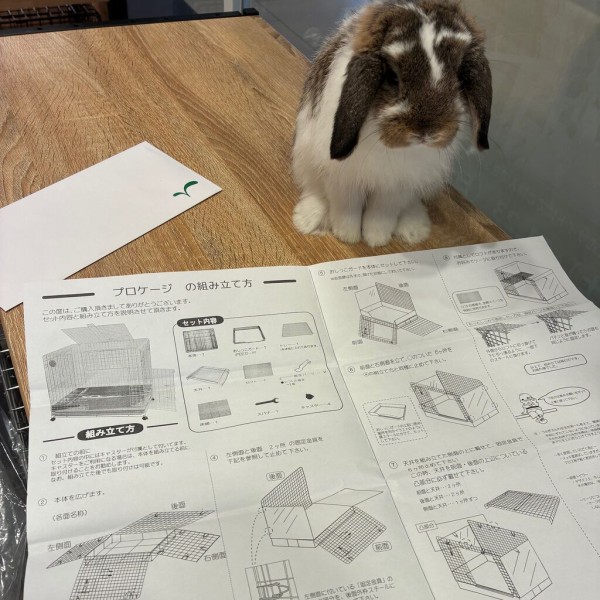 プロケージ80組み立て紹介～！ : うさぎブログ うさぎのしっぽ公式