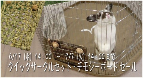 お得なセール やってます : うさぎブログ うさぎのしっぽ公式ブログ