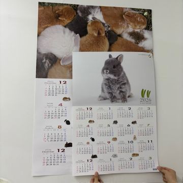 プレゼント紹介！！ : うさぎブログ うさぎのしっぽ公式ブログ「日々