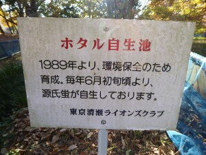 清瀬緑地公園 東京都清瀬市 19年12月 関東ご近所ネイチャースポット訪問記