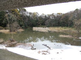 都立光が丘公園 練馬区 16年1月 関東ご近所ネイチャースポット訪問記