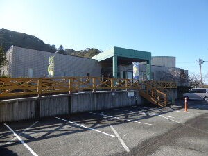 館山野鳥の森 千葉県館山市 2020年1月 関東ご近所ネイチャースポット訪問記