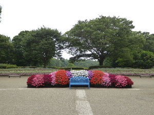 県立相模原公園 神奈川県相模原市 17年8月 関東ご近所ネイチャースポット訪問記