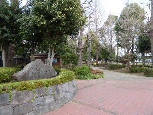 滝野川公園 中里遺跡 東京都北区 18年3月 関東ご近所ネイチャースポット訪問記