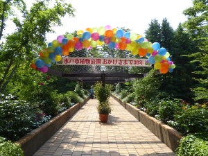 水戸市植物公園 茨城県水戸市 17年6月 関東ご近所ネイチャースポット訪問記