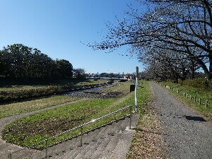 小畔水鳥の郷公園 埼玉県川越市 年11月 関東ご近所ネイチャースポット訪問記