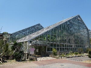 筑波実験植物園温室編 茨城県つくば市 21年5月 関東ご近所ネイチャースポット訪問記