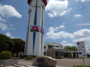 大野潮騒はまなす公園 茨城県鹿嶋市 17年5月 関東ご近所ネイチャースポット訪問記