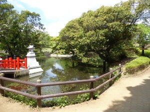 大野潮騒はまなす公園 茨城県鹿嶋市 17年5月 関東ご近所ネイチャースポット訪問記