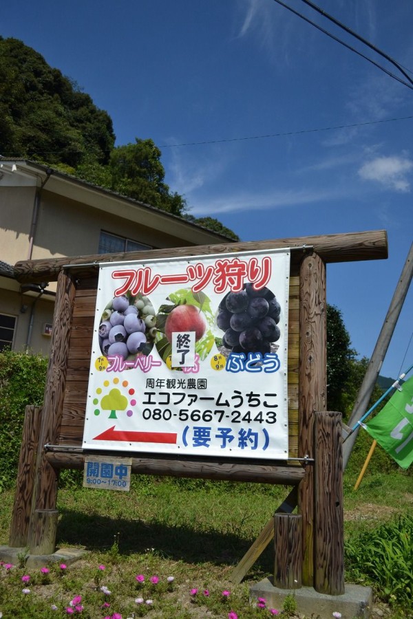 ぶどう狩りで訪問した 内子町大瀬 エコファームうちこ が素晴らしい これはシルバーウィークじゃなくても来なくちゃね Hideのgo For Broke ぶどう狩りで訪問した 内子町大瀬 エコファームうちこ が素晴らしい これはシルバーウィークじゃなくても来なくちゃね Hideのgo For Broke