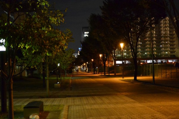 流石は鉄人 陳健一麻婆豆腐店グランデュオ立川店 Hideのgo For Broke