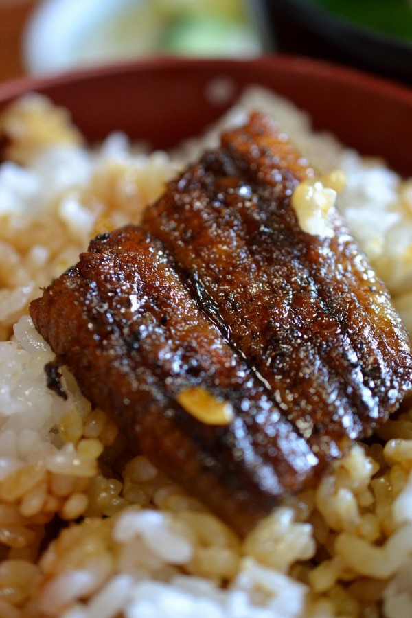 大洲市 との町 たる井 にて 美味しくありがたく ウナギをいただいた Hideのgo For Broke