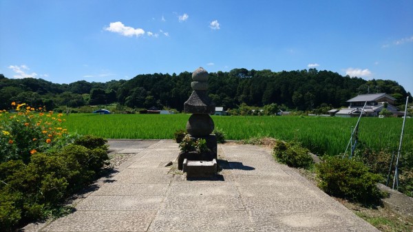 宜保愛子 ピラミッドの謎に迫る Magical Mystery Nara Tour