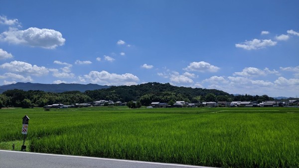 コラム157 春過ぎて 夏きたるらし 白妙の 衣ほしたり 天の香具山の謎 Magical Mystery Nara Tour