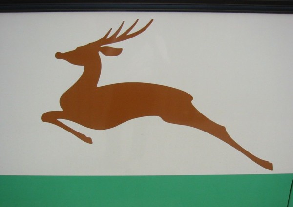 鹿写真集 しかしか Magical Mystery Nara Tour