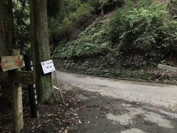 販売 善 峯 寺 バス 時刻 表