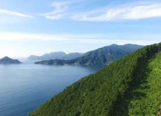 日本農業遺産に 急峻な地形と日本有数の多雨が生み出す尾鷲ヒノキ林業 が登録されました 東紀州情報発信ブログ