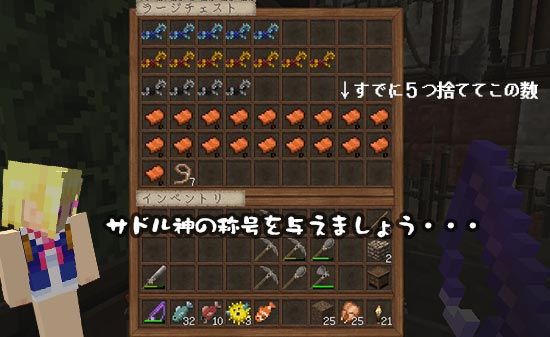 サドル神とアクアリウム シンシア ぐれなのマイクラライフ