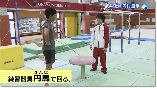 体操競技 あん馬＆円馬 練習器具セット （男子器械体操 円馬
