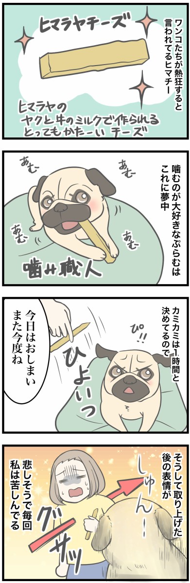 ヒマラヤチーズの虜になったパグの顔 ひかさん一家でゴゴッゴッー Powered By ライブドアブログ
