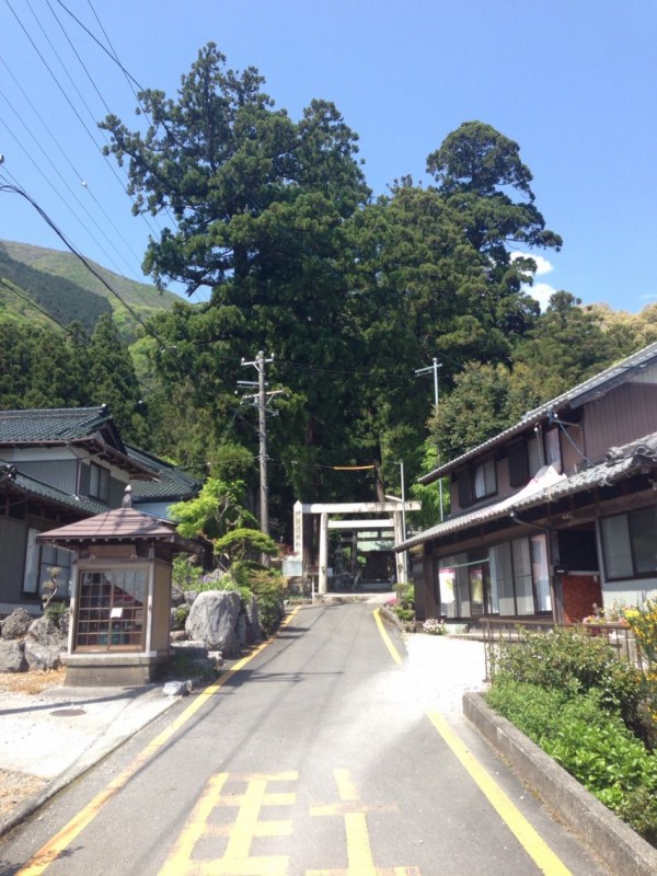藤原岳ハイク 聖宝寺道 裏道 大貝戸道 表道 15年5月2日 Like Hike Life