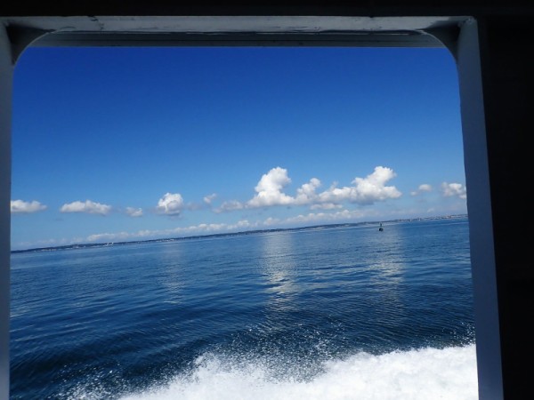 三河湾の黒真珠とアートの島 愛知県 佐久島を歩く 国内一人旅ブログ はこいりむすめのいえ