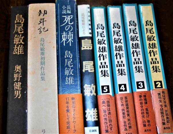 現代日本文芸の成立と展開 玉置邦雄 第３４回 文学逍遥 伊奈文庫 伊奈遊子ブログ