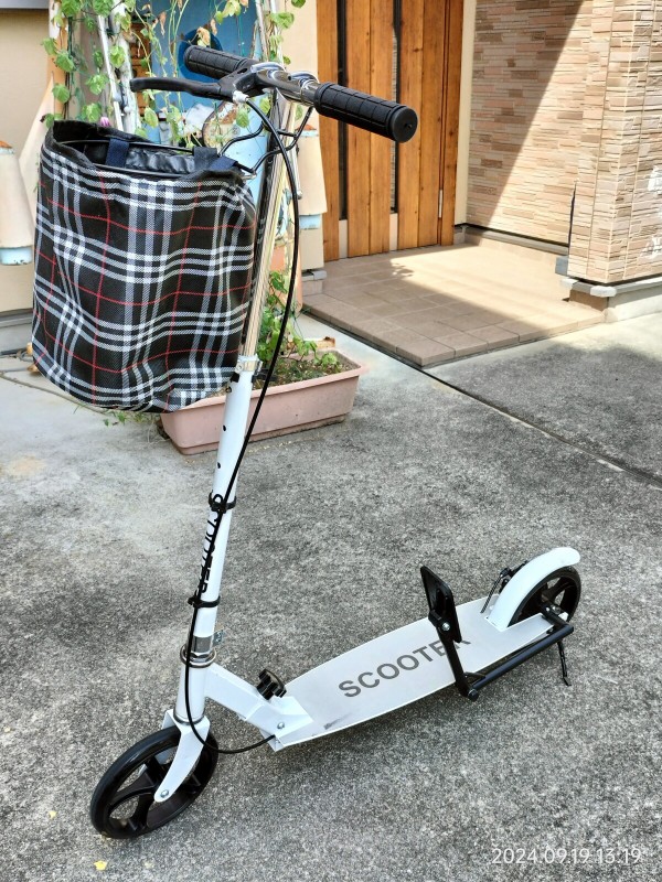 割引発見 令和のローラースルーGoGoは使いものになるのか？試乗レポート第 自転車本体