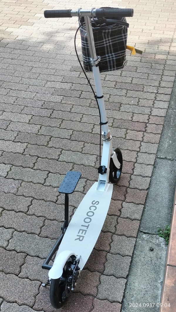 希少 ホンダ ローラースルーゴーゴー7 ROLLER THROUGH GOGO7 【公式通販】