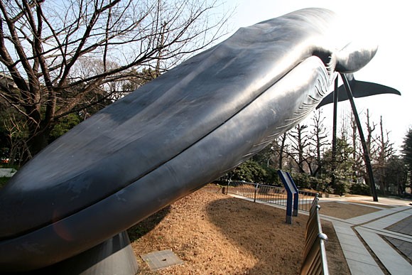 シロナガスクジラ : 上野を散歩