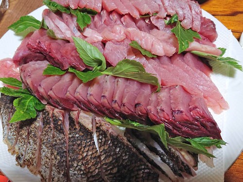 勝浦市漁師 引き縄漁で メジマグロ を釣ってきました 房総の不動産会社 エンゼル不動産房総店リゾート日記