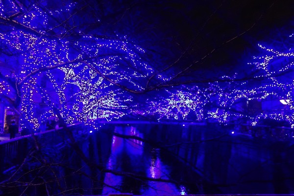 東京 中目黒の青の洞窟 冬のイルミネーションが初登場 Fleur De Coeur ココロノハナ