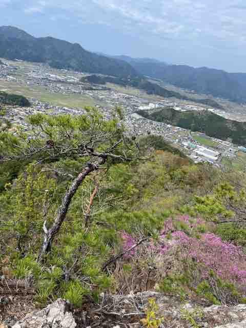 ヒカゲツツジ満開の向山連山🌸 : 姫路山岳会ブログ