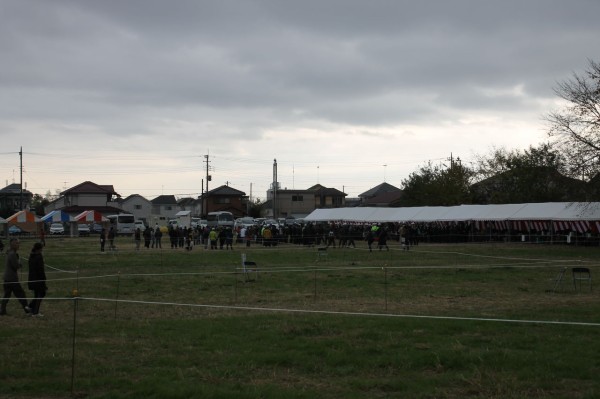 お得な情報満載 新畜犬標準書 田丸亭之助○田丸猟犬訓練所 昭和5年発行