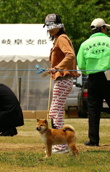 コロスケ シュリ選手 姫柴な毎日