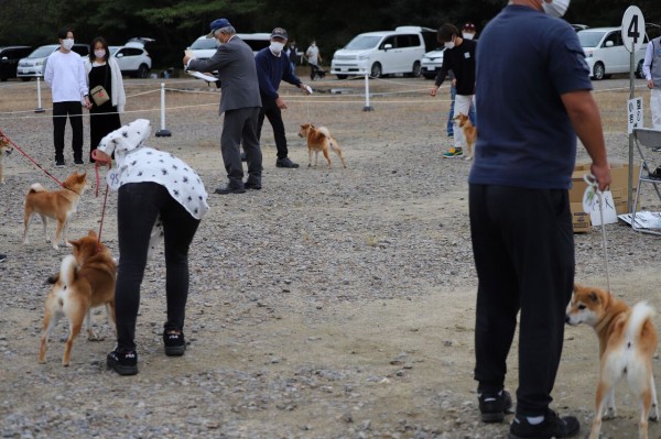 22 秋季 愛知支部展 ジャスピン 姫柴な毎日