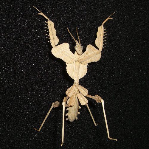 ニセハナマオウカマキリ エイリアン 姫山甚五の昆虫細工