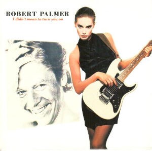 I Didn't Mean To Turn You On / ターン・ユー・オン(Robert Palmer I Didn't Mean To Turn You On / ターン・ユー・オン(Robert Palmer