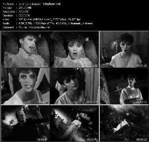 Telefone (Long Long Distance Love Affair）/ テレフォン （Sheena 