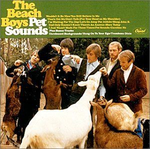 Wouldn T It Be Nice 素敵じゃないか The Beach Boys ビーチ ボーイズ 1966 洋楽和訳 Neverending Music