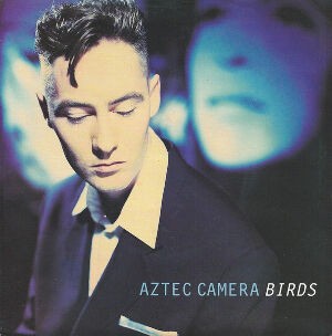 Birds / バーズ（Aztec Camera / アズテック・カメラ）1993
