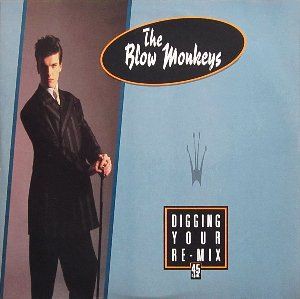 Digging Your Scene / ディギング・ユア・シーン（The Blow