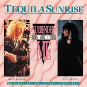 Surrender To Me / サレンダー・トゥ・ミー（Ann Wilson & Robin