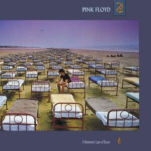 Learning To Fly / 幻の翼（Pink Floyd / ピンク・フロイド