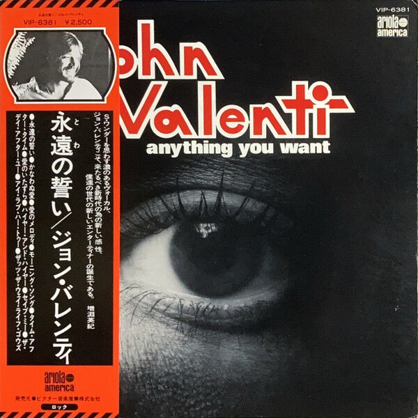 Anything You Want / 永遠の誓い（John Valenti / ジョン・ヴァレンテ