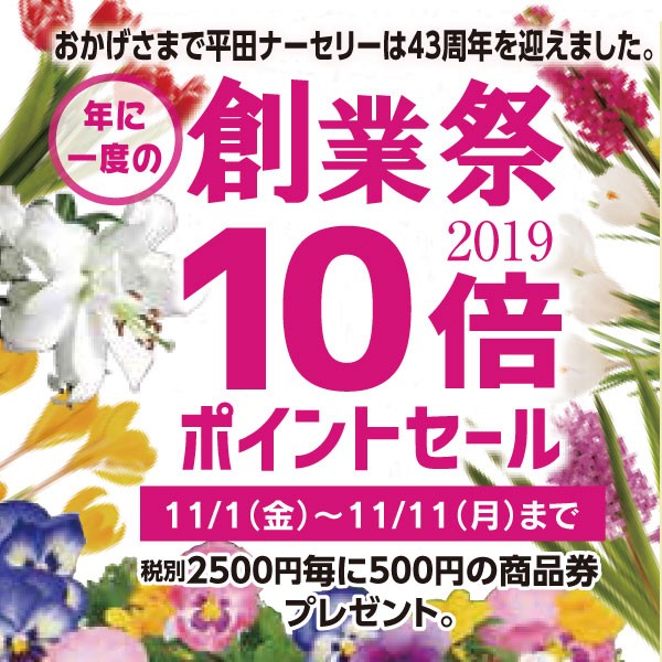 創業祭 10倍ポイントセール 熊本店 平田ナーセリー熊本店