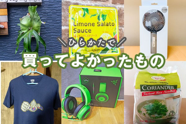 2020 よかった もの 買っ て