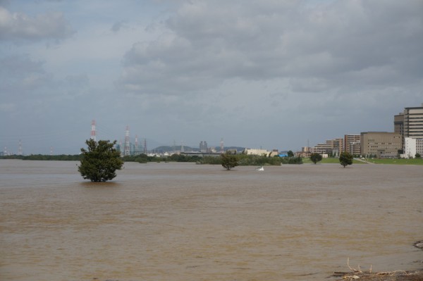 台風18号で淀川河川公園が完全に水没 簡易事務所みたいなのが逆さになって浮いてる 枚方つーしん