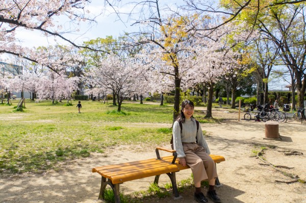 公園の中に公園がある ピラミッド状建造物も気になる楠葉朝日にある楠葉東公園 枚方の公園 枚方つーしん